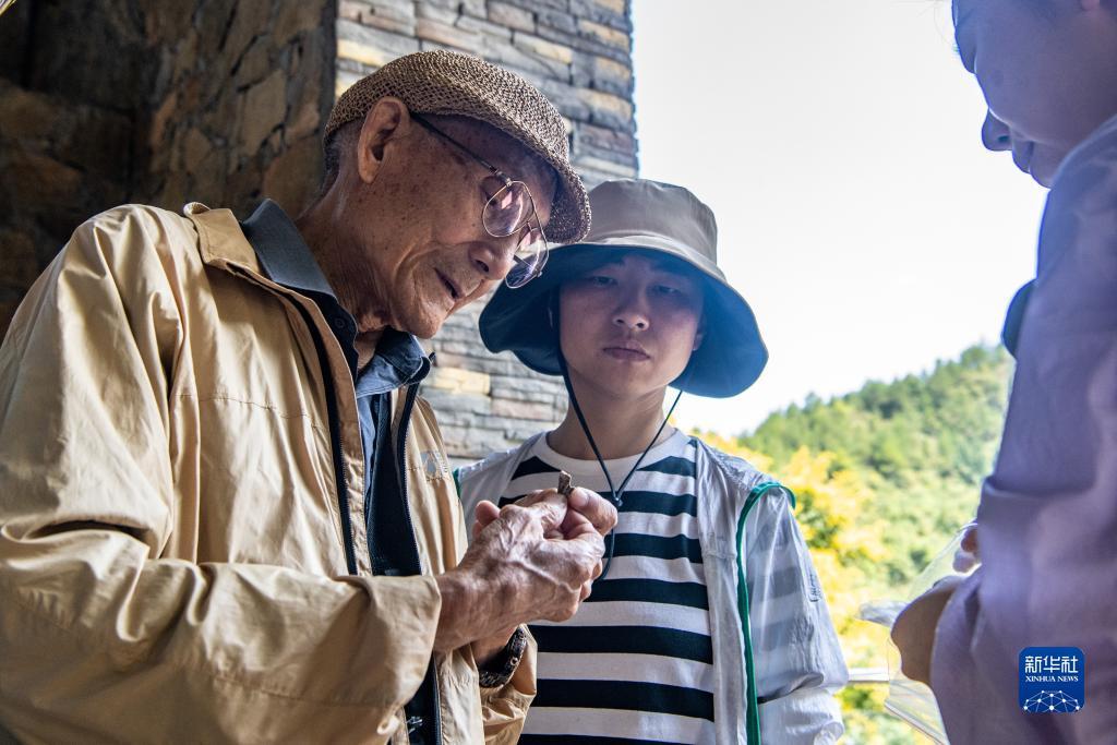 白菜彩金网址大全4001